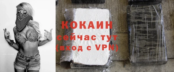 дмт Арсеньев