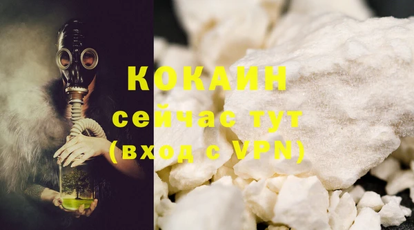 твердый Аркадак