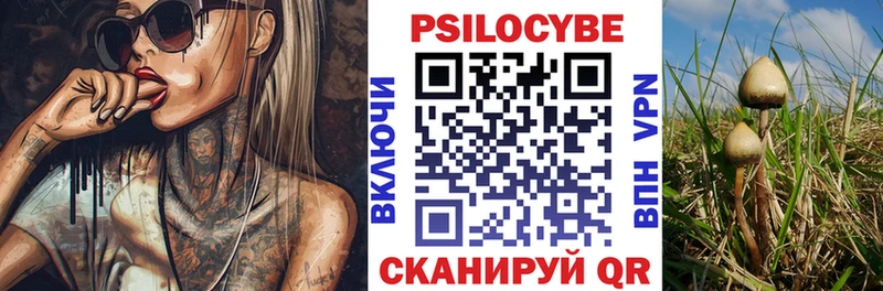 ссылка на мегу зеркало  Красный Кут  Псилоцибиновые грибы Psilocybine cubensis 